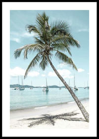 Leaning Palm No2-0