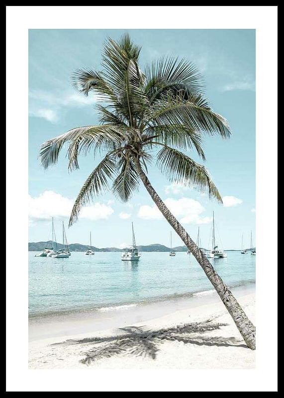 Leaning Palm No2-12