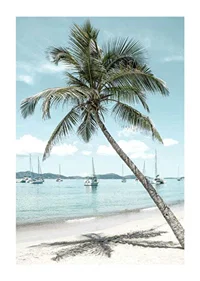 Photograph of leaning palm tree at sandy beach with sailboats-1