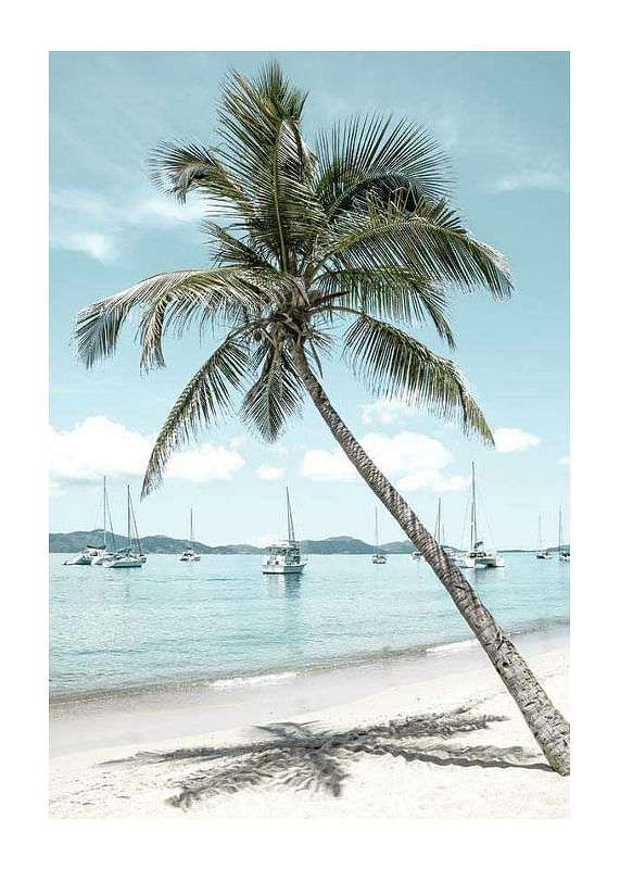 Plagát Leaning Palm No2