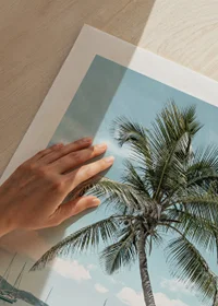 Photograph of leaning palm tree at sandy beach with sailboats-9