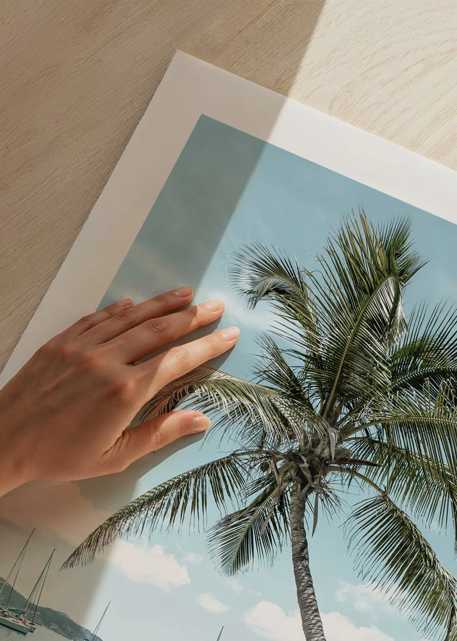 Photograph of leaning palm tree at sandy beach with sailboats-12