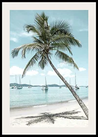 Photograph of leaning palm tree at sandy beach with sailboats-2