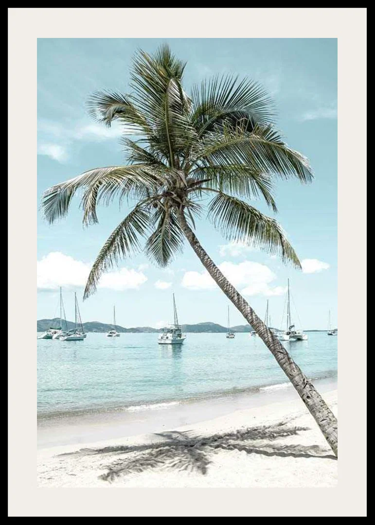 Photograph of leaning palm tree at sandy beach with sailboats-12