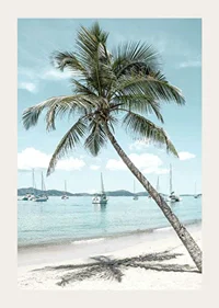 Photograph of leaning palm tree at sandy beach with sailboats-3