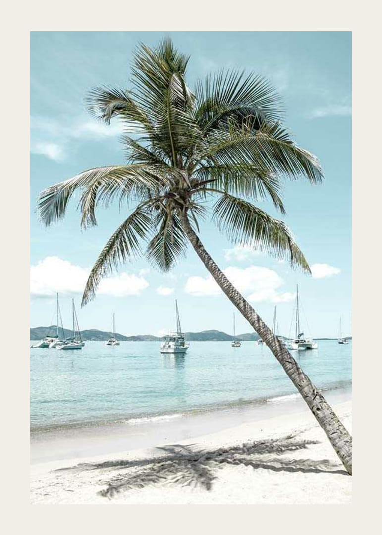 Valokuva nojailevasta palmupuusta hiekkarannalla purjeveneiden kanssa-12