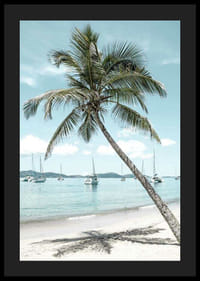 Valokuva nojailevasta palmupuusta hiekkarannalla purjeveneiden kanssa-4