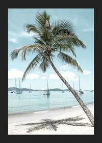 Valokuva nojailevasta palmupuusta hiekkarannalla purjeveneiden kanssa-5