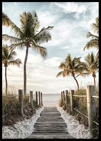 Photograph of wooden pier against beach and ocean with palm trees-6