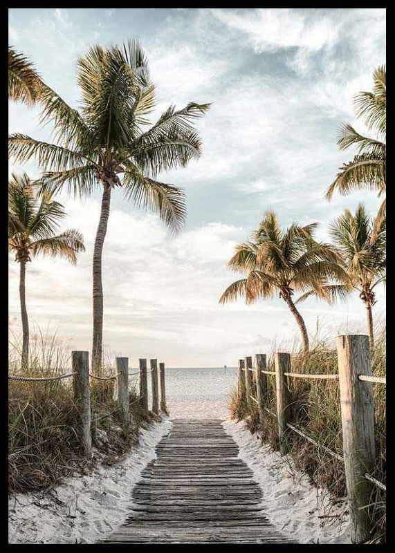 Photograph of wooden pier against beach and ocean with palm trees-12