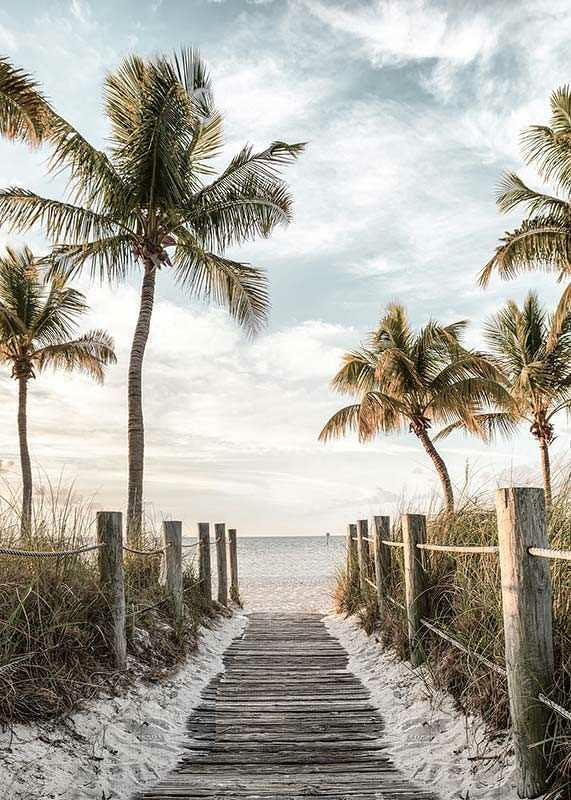 Photograph of wooden pier against beach and ocean with palm trees-12