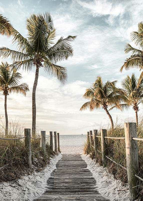 Footbridge Beach-12