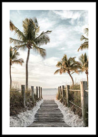 Photograph of wooden pier against beach and ocean with palm trees-0