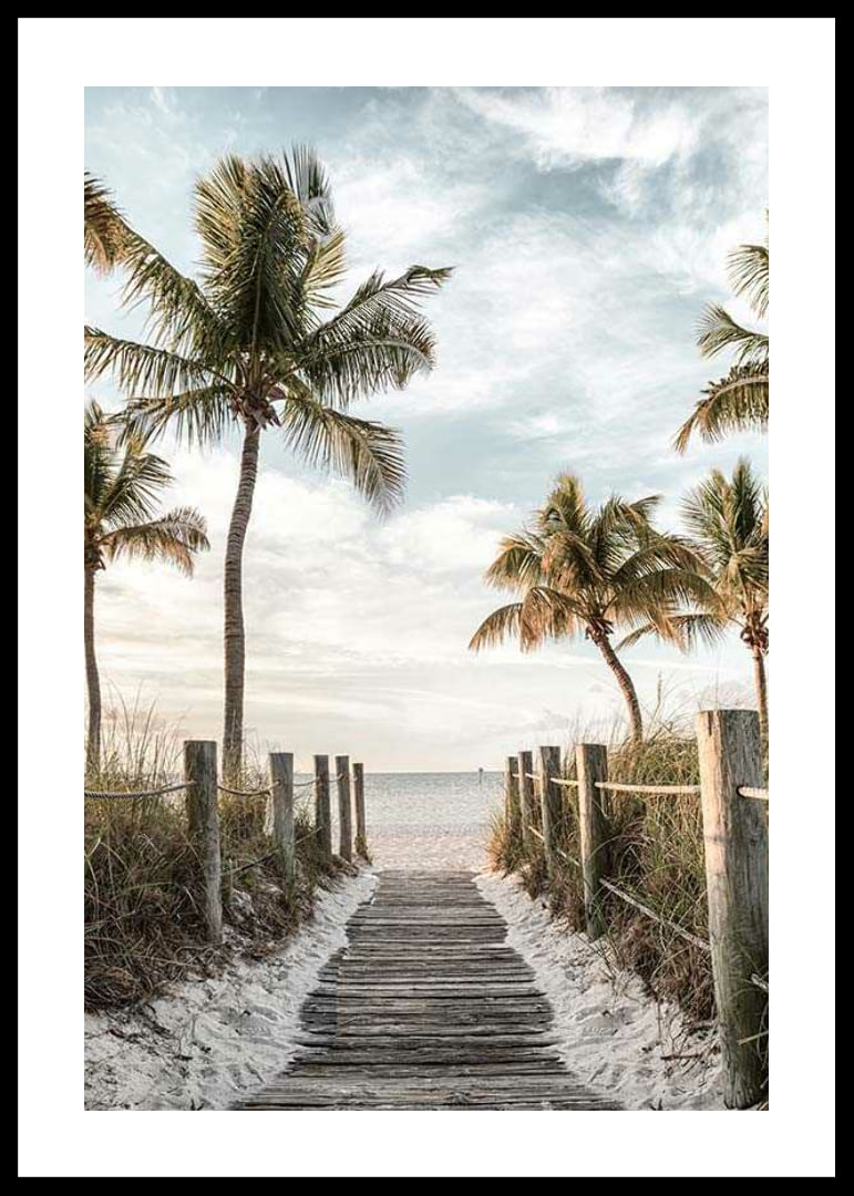 Photograph of wooden pier against beach and ocean with palm trees-12