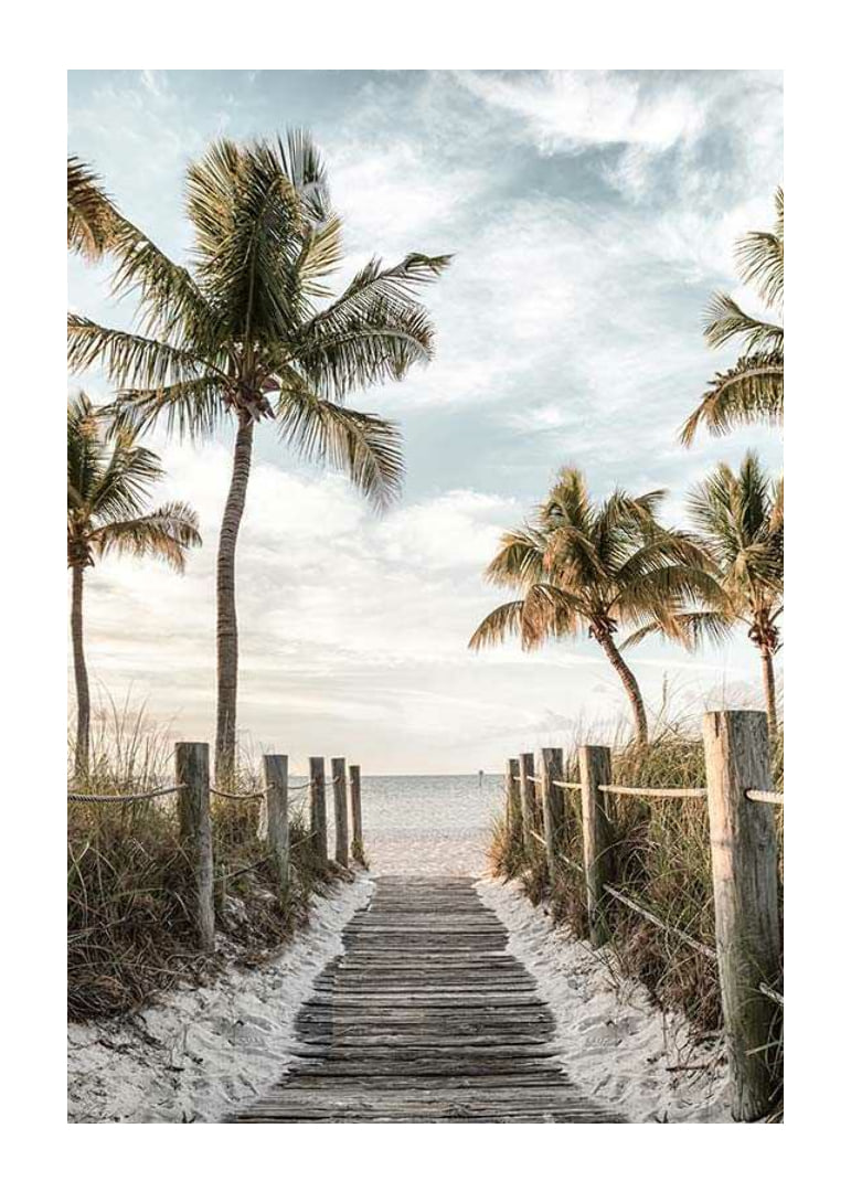 Photograph of wooden pier against beach and ocean with palm trees-12