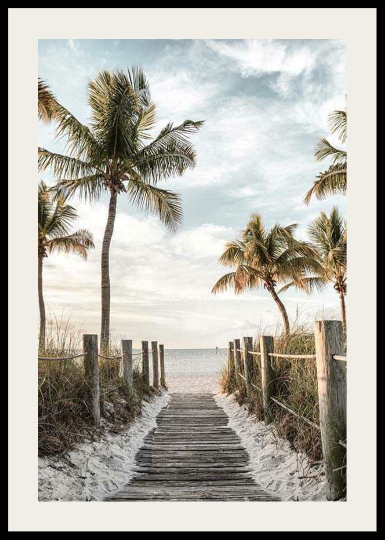 Photograph of wooden pier against beach and ocean with palm trees-12