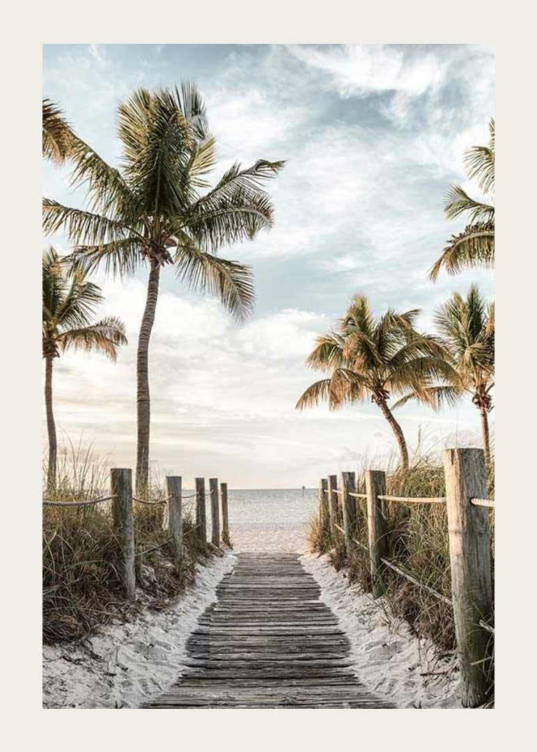 Photograph of wooden pier against beach and ocean with palm trees-12