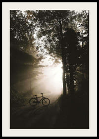 Fotografische fiets op bosweg met zonnestralen en mist-2