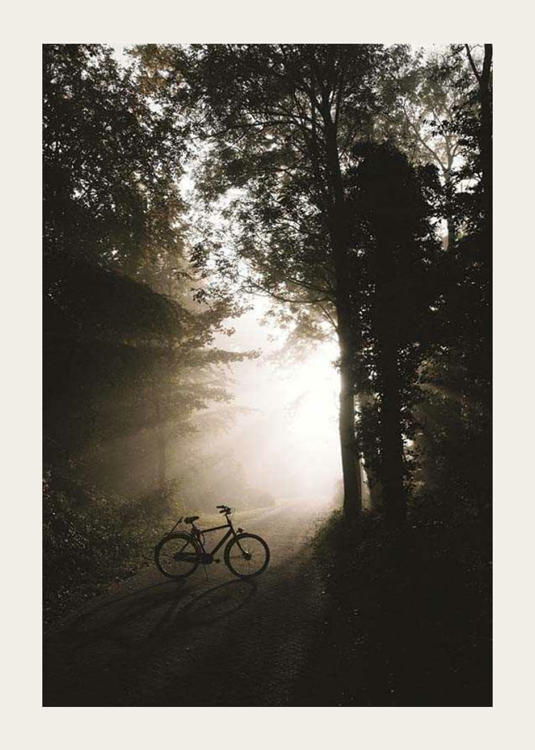 Fotografische fiets op bosweg met zonnestralen en mist-12