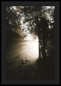 Fotografische fiets op bosweg met zonnestralen en mist-4