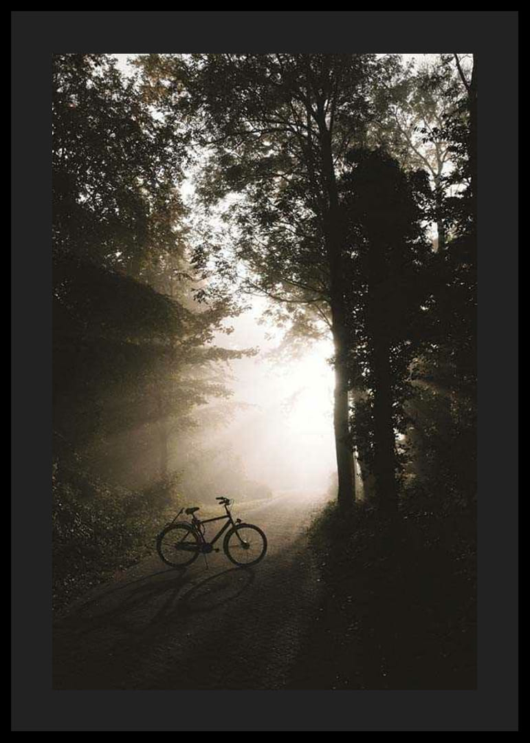 Fotografische fiets op bosweg met zonnestralen en mist-12
