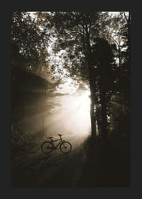 Fotografische fiets op bosweg met zonnestralen en mist-5