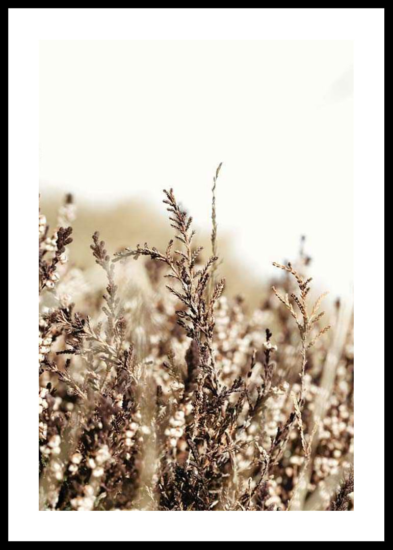 Close-up of dry blades of grass in brown and beige tones, photographic-12