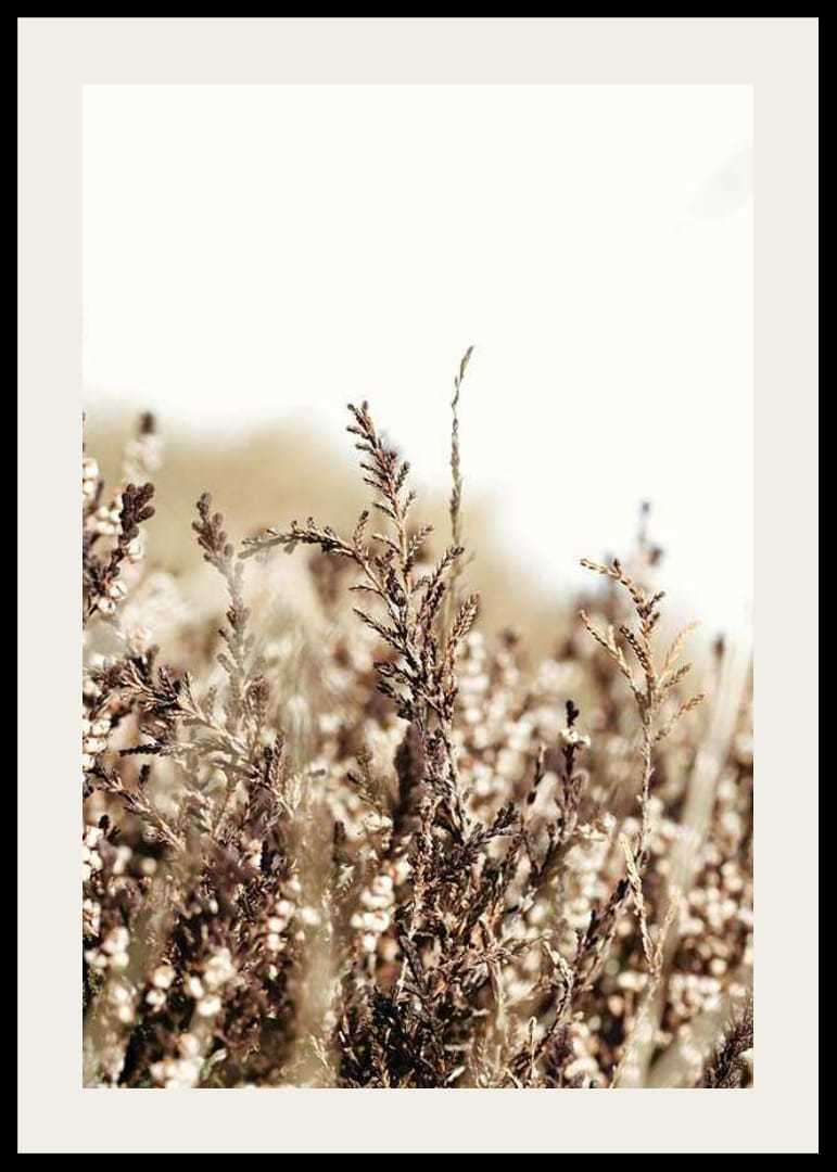 Sausų žolės lapelių rudos ir smėlio spalvos atspalvių stambus planas, fotografija-12