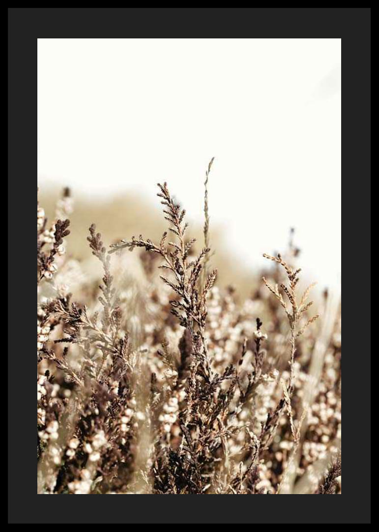 Sausų žolės lapelių rudos ir smėlio spalvos atspalvių stambus planas, fotografija-12