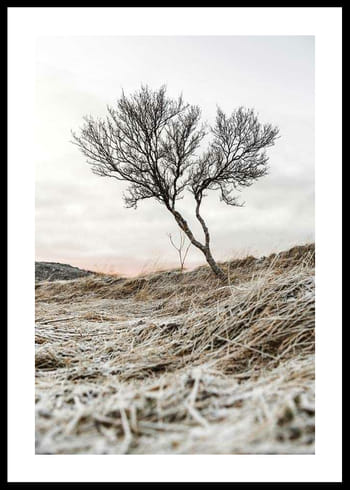 Plakat Iceland Tree