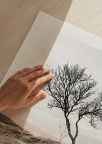 Photograph of lone tree on frosty heath, muted color tones-9