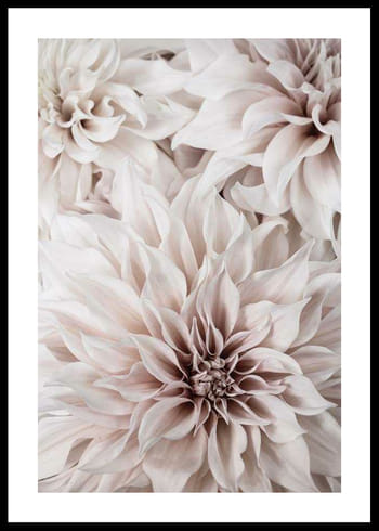 Poster Pink Shaded Flowers