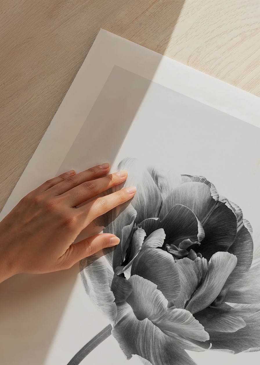 Black and white close-up of a tulip with soft petals-12