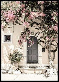 Fotografi av grå dörr omgiven av bougainvillea i rosa toner-6