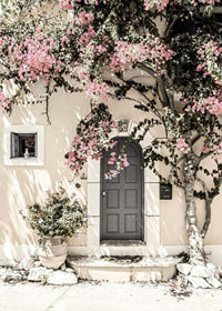 Fotografi av grå dörr omgiven av bougainvillea i rosa toner-7