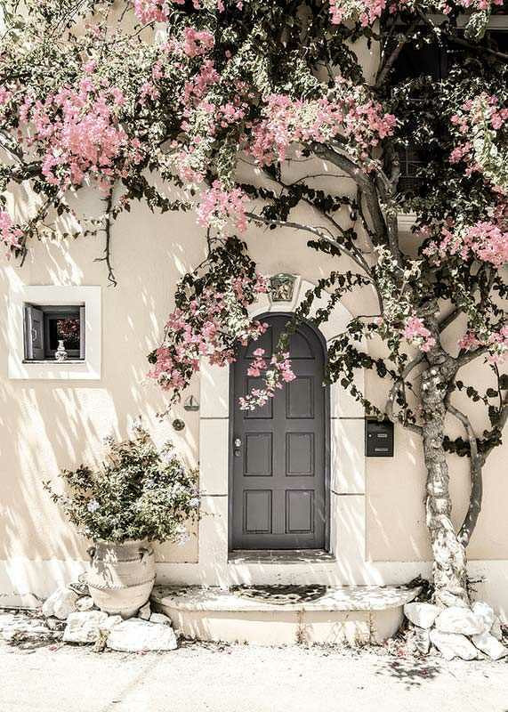 Fotografi av grå dörr omgiven av bougainvillea i rosa toner-12