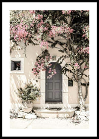 Fotografi av grå dörr omgiven av bougainvillea i rosa toner-0