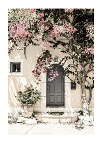 Fotografi av grå dörr omgiven av bougainvillea i rosa toner-1