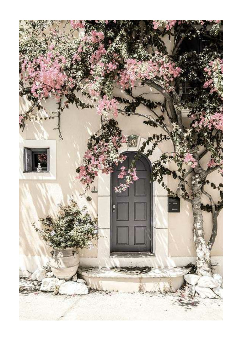 Fotografi av grå dörr omgiven av bougainvillea i rosa toner-12