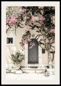 Zdjęcie szarych drzwi otoczonych bugenwillą w odcieniach różu-2