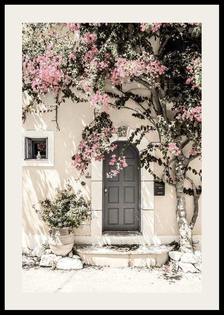 Zdjęcie szarych drzwi otoczonych bugenwillą w odcieniach różu-12