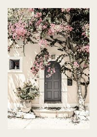 Fotografi av grå dörr omgiven av bougainvillea i rosa toner-3