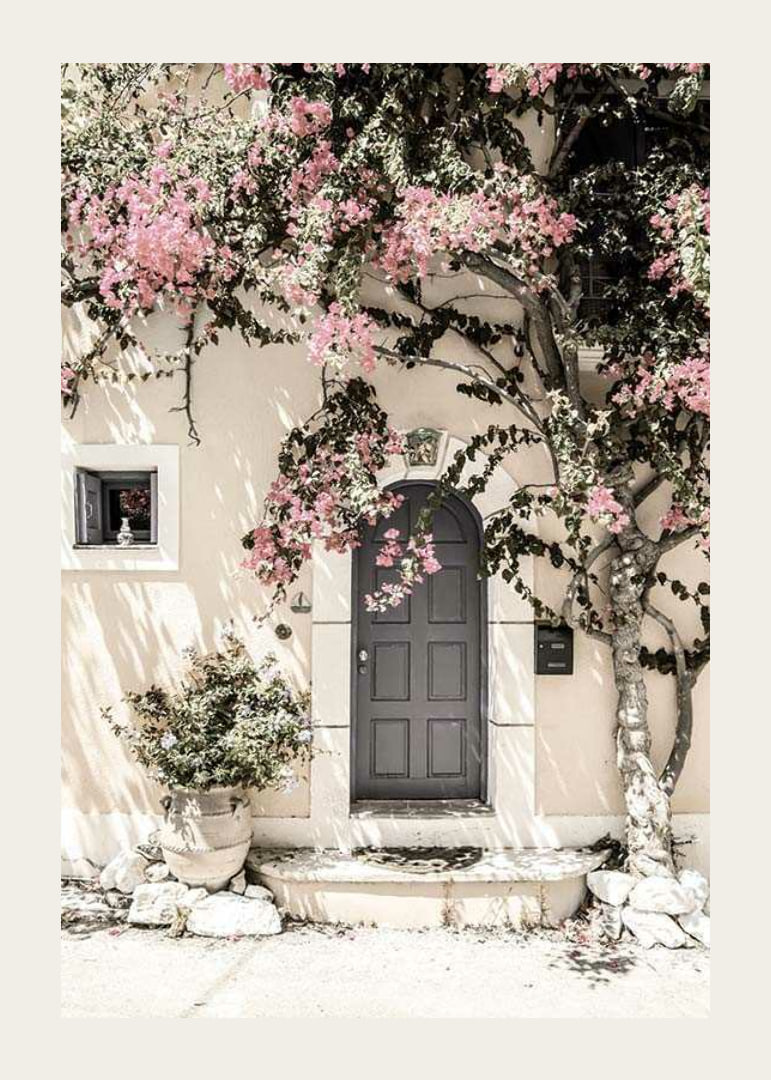 Fotografi av grå dörr omgiven av bougainvillea i rosa toner-12