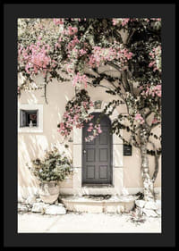 Zdjęcie szarych drzwi otoczonych bugenwillą w odcieniach różu-4