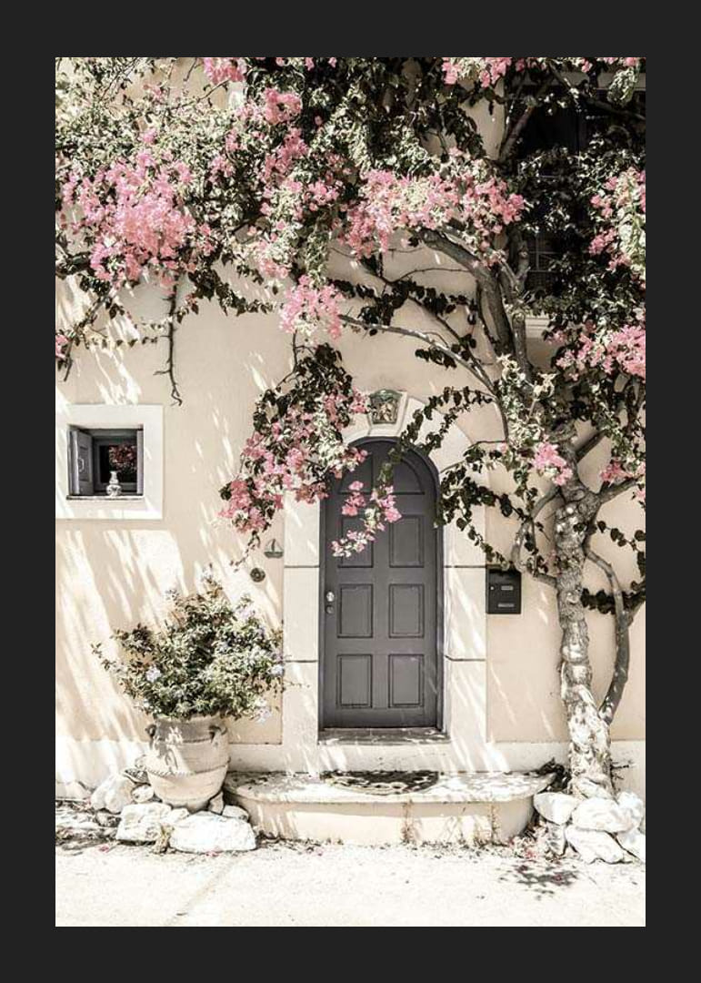 Zdjęcie szarych drzwi otoczonych bugenwillą w odcieniach różu-12