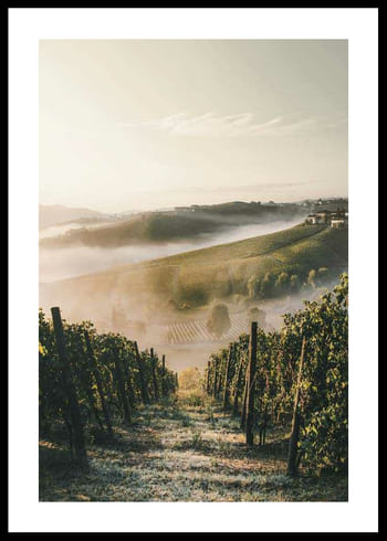 Plakat Castiglione Tinella