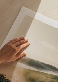 Fotografi av vinodling i dimhöljda kullar i Piemonte-9