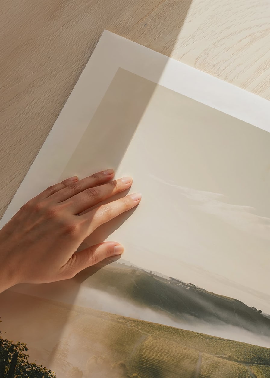 Fotografi av vinodling i dimhöljda kullar i Piemonte-12
