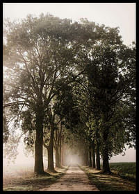 Morning Road-2