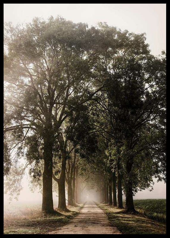 Morning Road-12